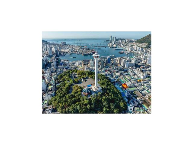 Official Tour Schedule 공식 관광 스케줄